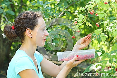 A beautiful young woman gathering Stock Photo