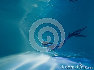 Woman with mermaid tail swims and dives underwater Stock Photo