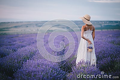 Beautiful young woman posing in a lavender field Stock Photo