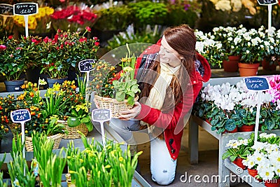 Beautiful young woman selecting flowers market Stock Photo