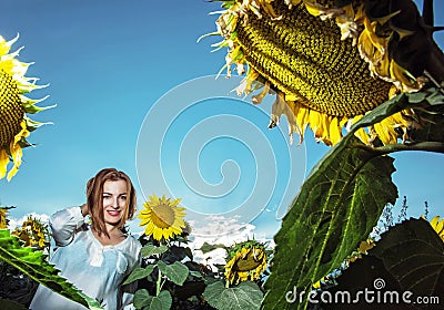 Beautiful young woman in sunflower field, seasonal natural scene Stock Photo