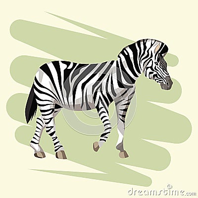 Beautiful zebra drawing Vector Illustration