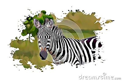 Beautiful Zebra, Street Art, Abstract Design, Drawing, Painting Stock Photo