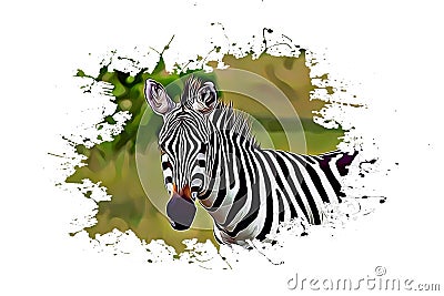 Beautiful Zebra, Street Digital Art, Abstract Design, Drawing, Painting Stock Photo