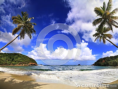 Beautifull beach in Dominica Stock Photo