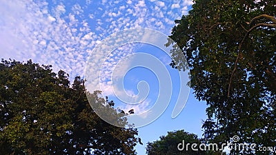 Beautifull blue sky with small cloud Stock Photo