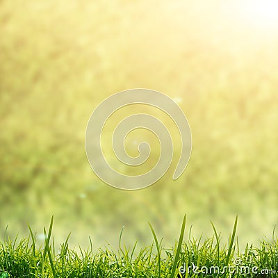 Beautifull green nature background Stock Photo