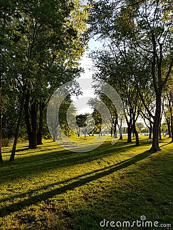 Beautifull green trees park parc de grands arbres verts Stock Photo