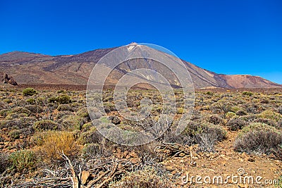 View of beautiful volcano Teide in summer Stock Photo