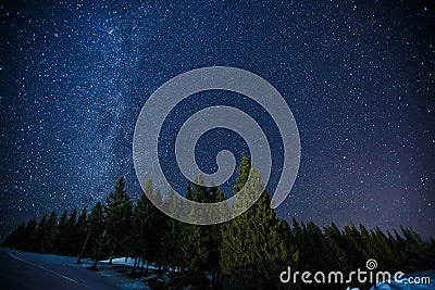 Beautifull scenery of a night winter starry sky above pine forest, long exposure photo of midnight stars and snowy woods Stock Photo