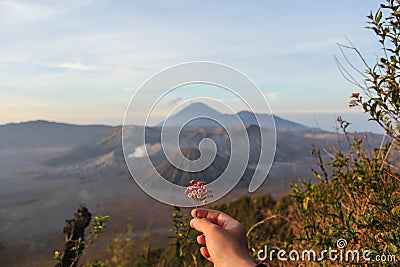 Beautifully Bromo Mountain Stock Photo