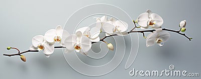 A Beautifully Captured Orchid In Its Natural Elegance Stock Photo
