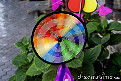 Colorful Rainbow Pinwheel Stock Photo