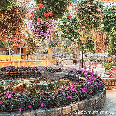 Beautifully decorated with geranium, impatiens and other flowers terrace in the covered park De Orchideeen Hoeve Editorial Stock Photo