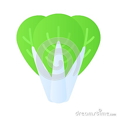 Beautifully designed Bok Choy vector in modern style, ready to use icon Vector Illustration