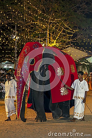 A beautifully dressed elephant wearing a red cloak parades through the arena at the Kataragama Festival in Sri Lanka. Editorial Stock Photo