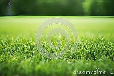 Beautifully illuminated generative photo capturing the lush green lawn of the soccer stadium Stock Photo