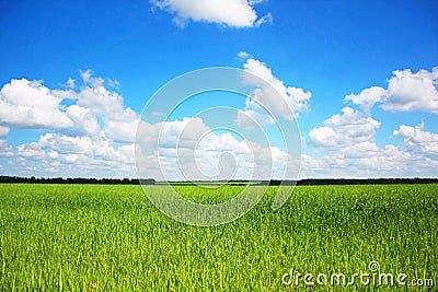 Beautifully landscape Stock Photo