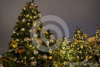 Beautifuly decorated Christmas tree in the city at night Stock Photo