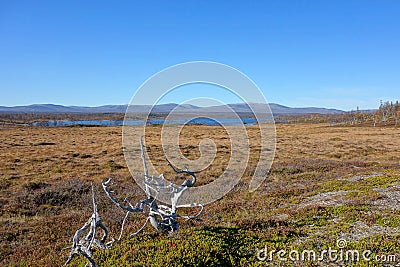 Beauttiful mountain landscape Stock Photo