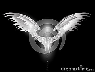 Beauty angel wings on dark background Stock Photo