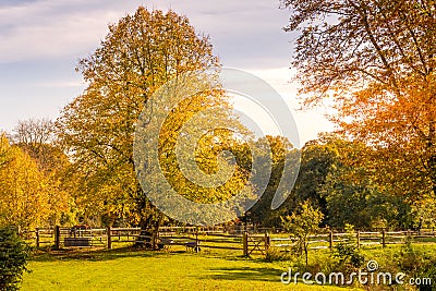 Beauty of Autumn with English Horse Paddocks Editorial Stock Photo