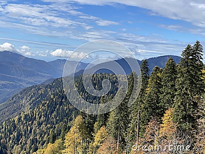 the beauty of an autumn forest, majestic mountains, blue skies and fluffy clouds Stock Photo