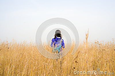 Beauty back on the golden prairie Editorial Stock Photo