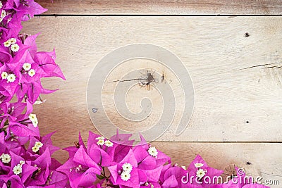 Beauty bougainvillea flower on wood Stock Photo