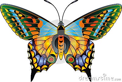 Beauty butterfly isolated Stock Photo