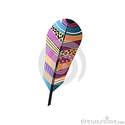 Beauty colorful bird feather in different color ornament Vector Illustration