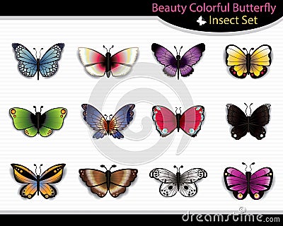 Beauty Colorful Butterfly Insect Set - Vector Vector Illustration