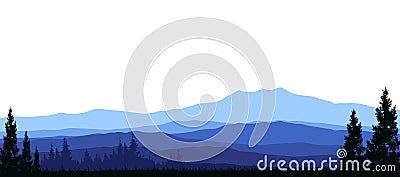 Beauty coniferous forests for you design Stock Photo