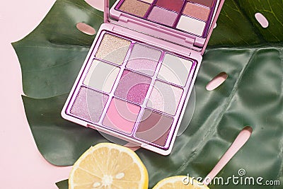 Square palette of pink and nude shadows on a pink background with green leaf and lemon top view Stock Photo