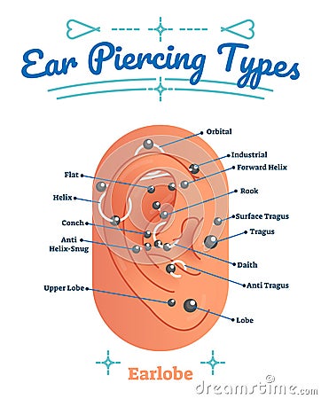 Beauty and fashion medical vector illustration diagram with types of ear piercing. Pierced human earlobe labeled scheme. Vector Illustration