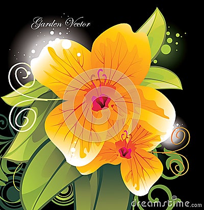 Beauty flower close up Vector Illustration