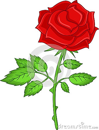 Beauty flower rose cartoon on white background Cartoon Illustration