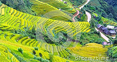 Beauty hillside terraces Mu Cang Chai Stock Photo