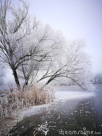 beauty of iced landscape Stock Photo
