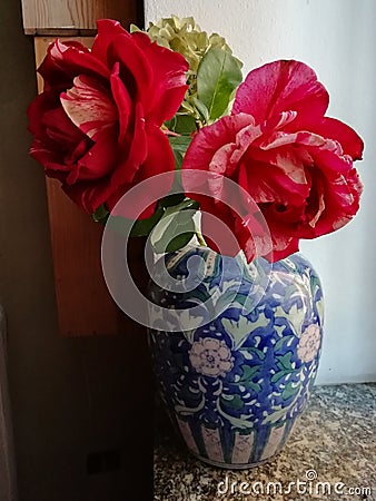 The beauty of the impressionist rose Henri Matisse Stock Photo