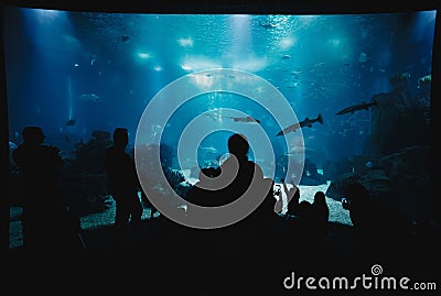 Beauty of the Lisbon Oceanarium. The Dark Silhouettes of Visitors in the Backlight Editorial Stock Photo