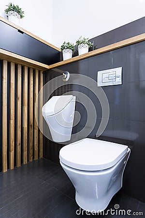 Beauty luxury toilet interior Stock Photo