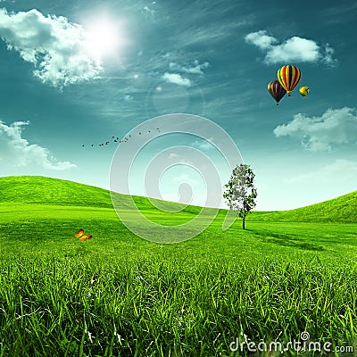 Beauty meadow Stock Photo