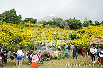 Beauty of Mexican sunflower festival at Doi Hua Mae Kam Editorial Stock Photo