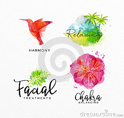 Beauty natural spa symbols bird Vector Illustration