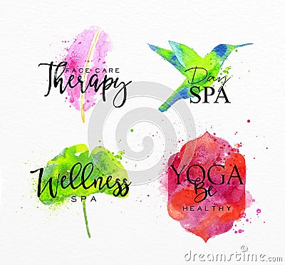 Beauty natural spa symbols feather Vector Illustration