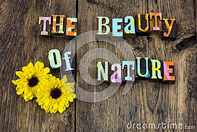 Beauty nature miracle flower natural purity life Stock Photo