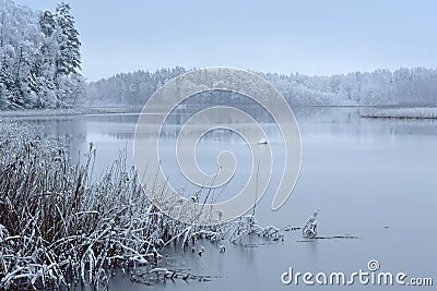 Beauty in nature. Snowy reflections Stock Photo