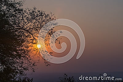 Beauty in nature at sunset, shady, cool, fresh air, suitable for relaxation. Stock Photo