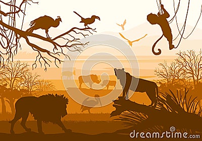 Beauty of nature with wild animals (lion, wild boar, goat, cormorant, monkey, bird, peacock,) Stock Photo